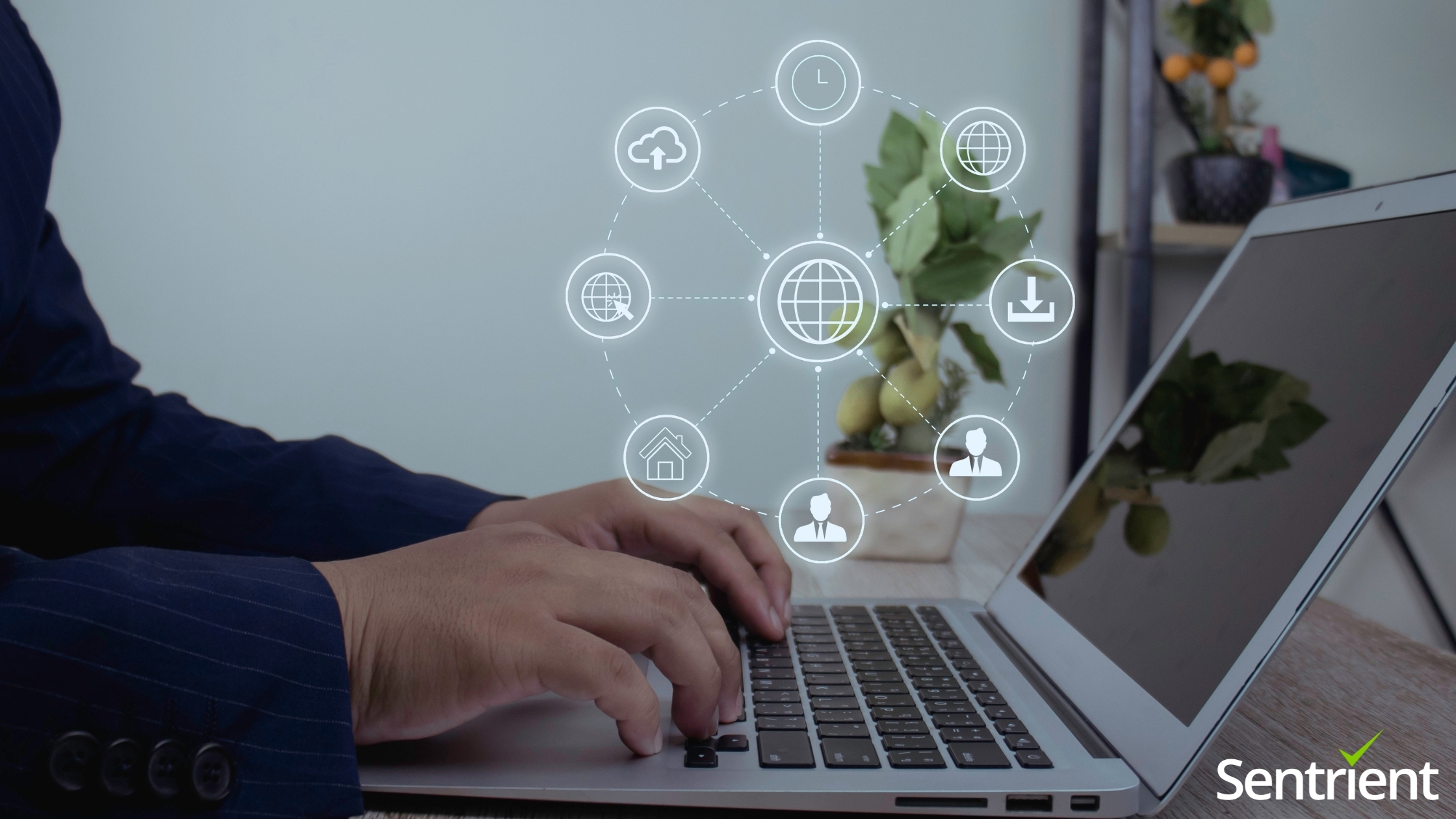 Compliance Culture vs Training
