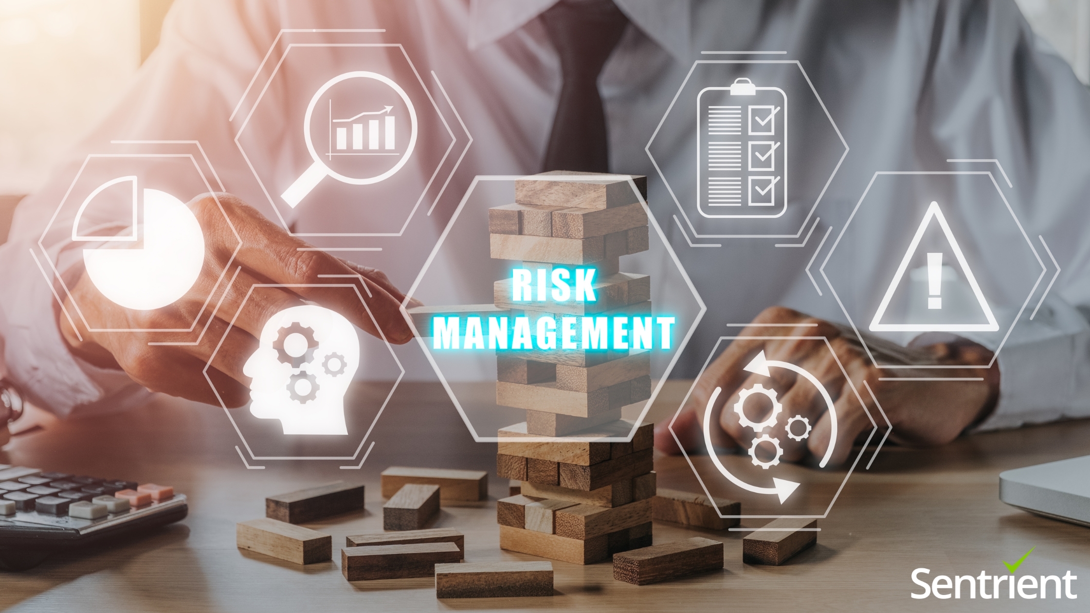 enterprise-risk-management-frameworks